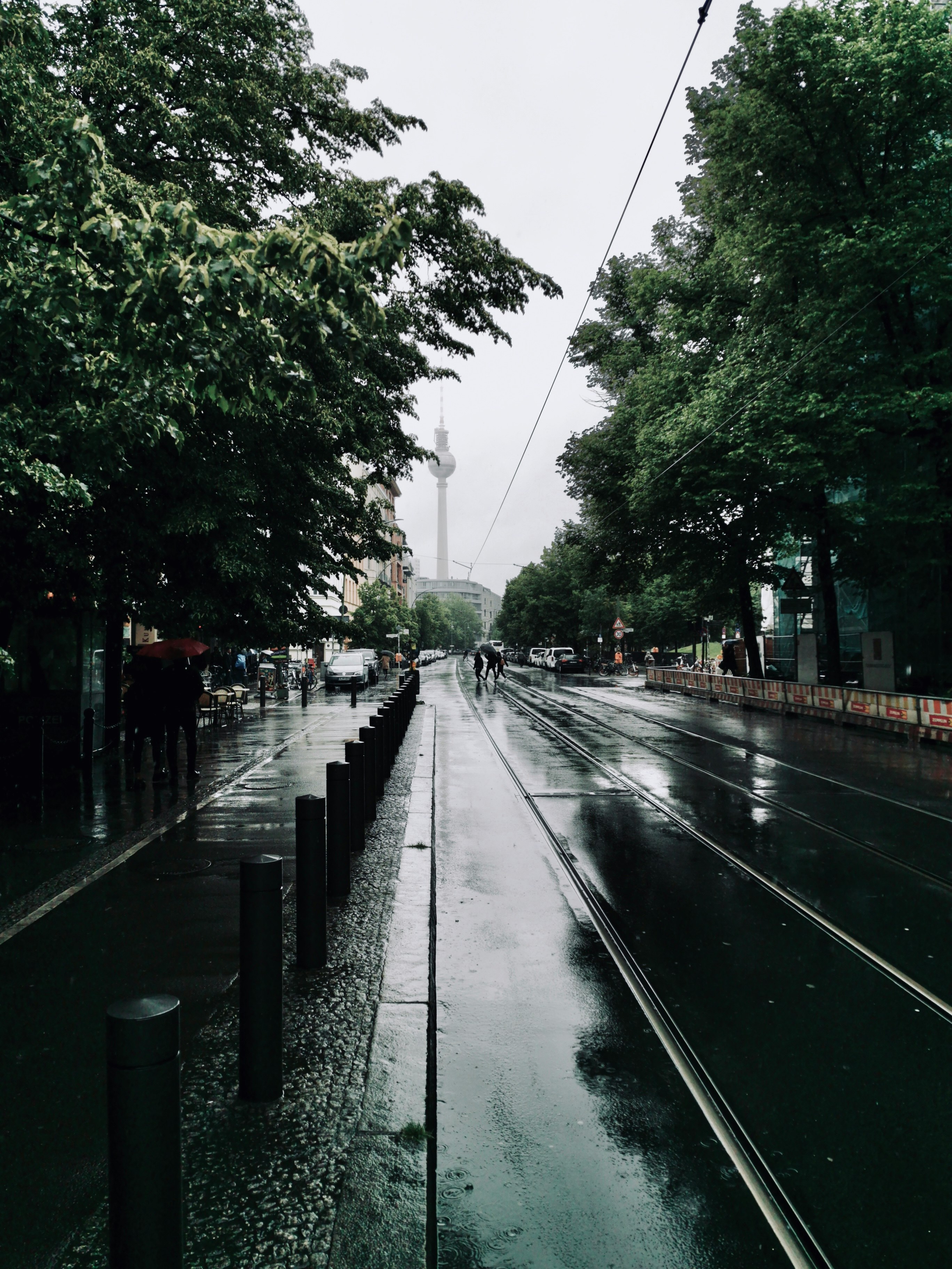 wet road between green trees